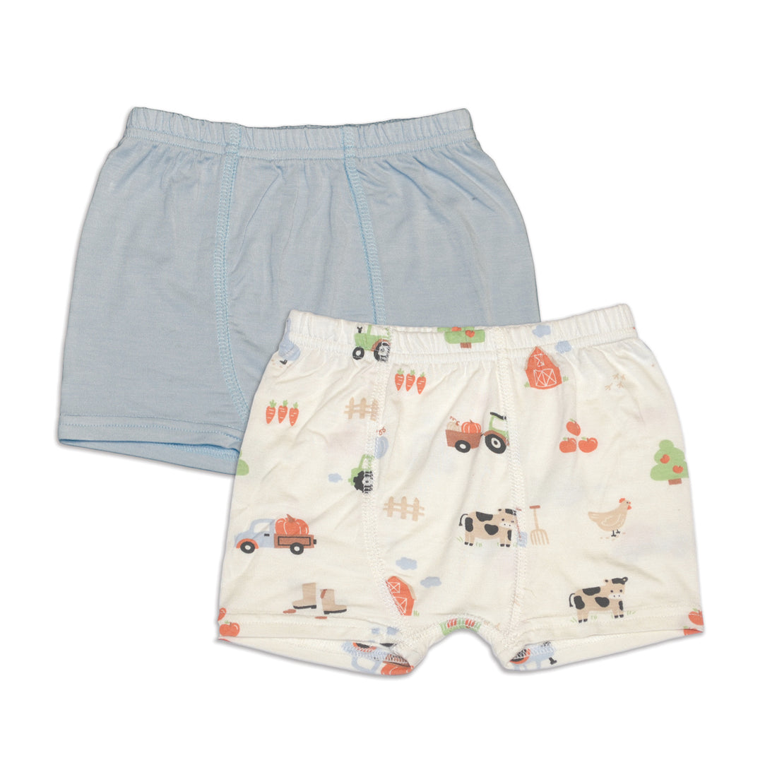 Bamboo Underwear Shorts - 2 Pack