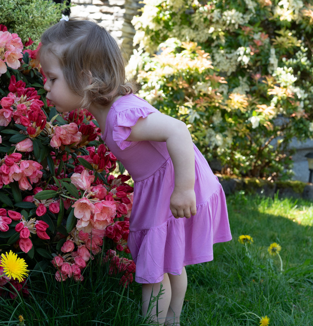 Bamboo Flutter Sleeve Tiered Dress