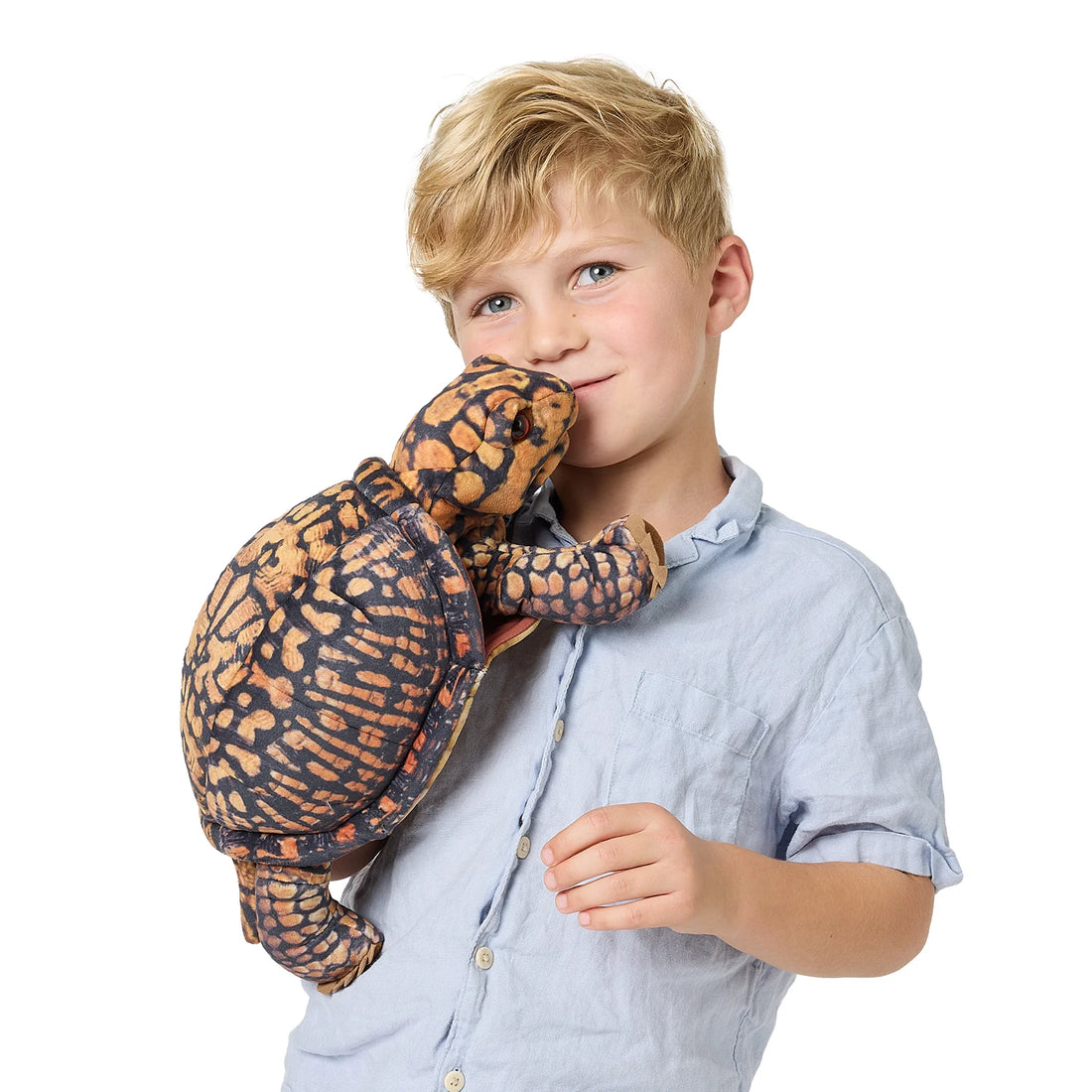 Box Turtle Puppet