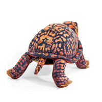 Box Turtle Puppet