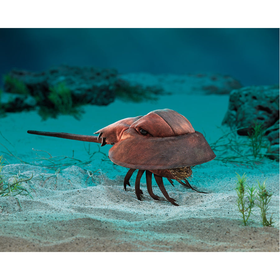 Horseshoe Crab Puppet