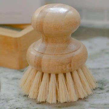 Dish and Vegetable Hand Brush