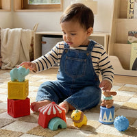 Itzy Circus Blocks