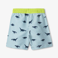 Dino Stripes Swim Trunks