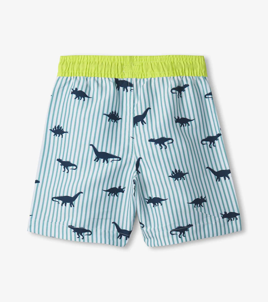 Dino Stripes Swim Trunks