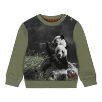 Green Panda Sweater