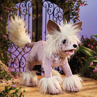 Chinese Crested Dog Puppet
