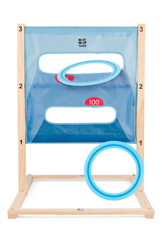 Disc Target & Ladder Game