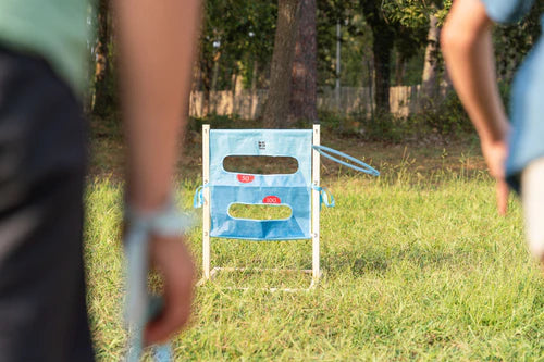 Disc Target & Ladder Game