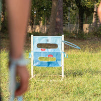 Disc Target & Ladder Game