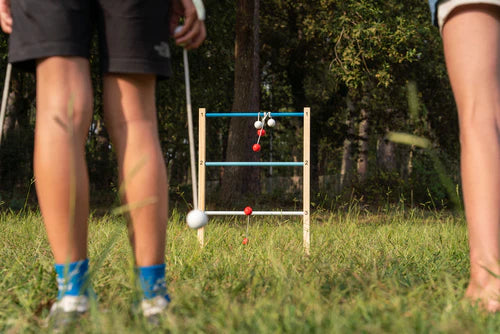 Disc Target & Ladder Game