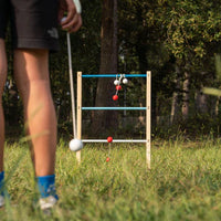 Disc Target & Ladder Game