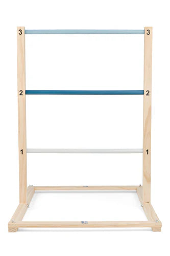 Disc Target & Ladder Game