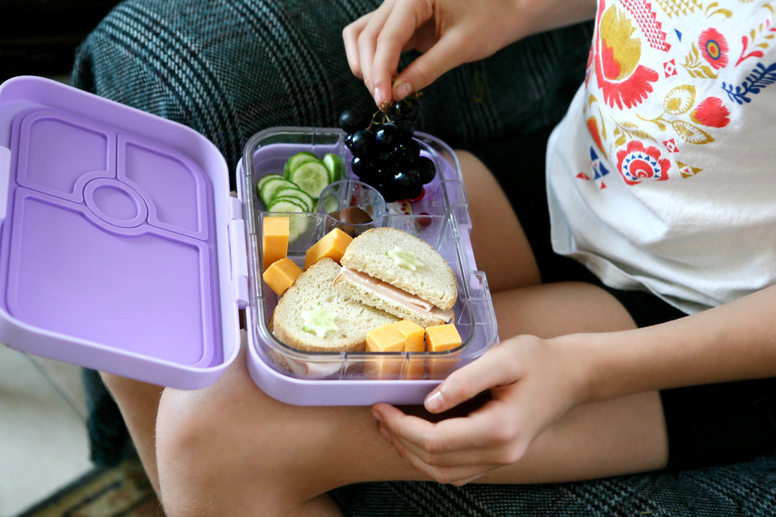 Panino - Sandwich Friendly Leakproof Bento Box