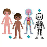 Human Body 4 in 1 Educational Puzzle