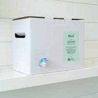 Peppermint Glass Cleaner