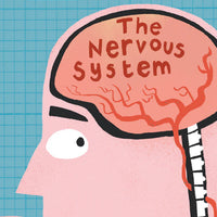 Yoto - BrainBots: The Human Body