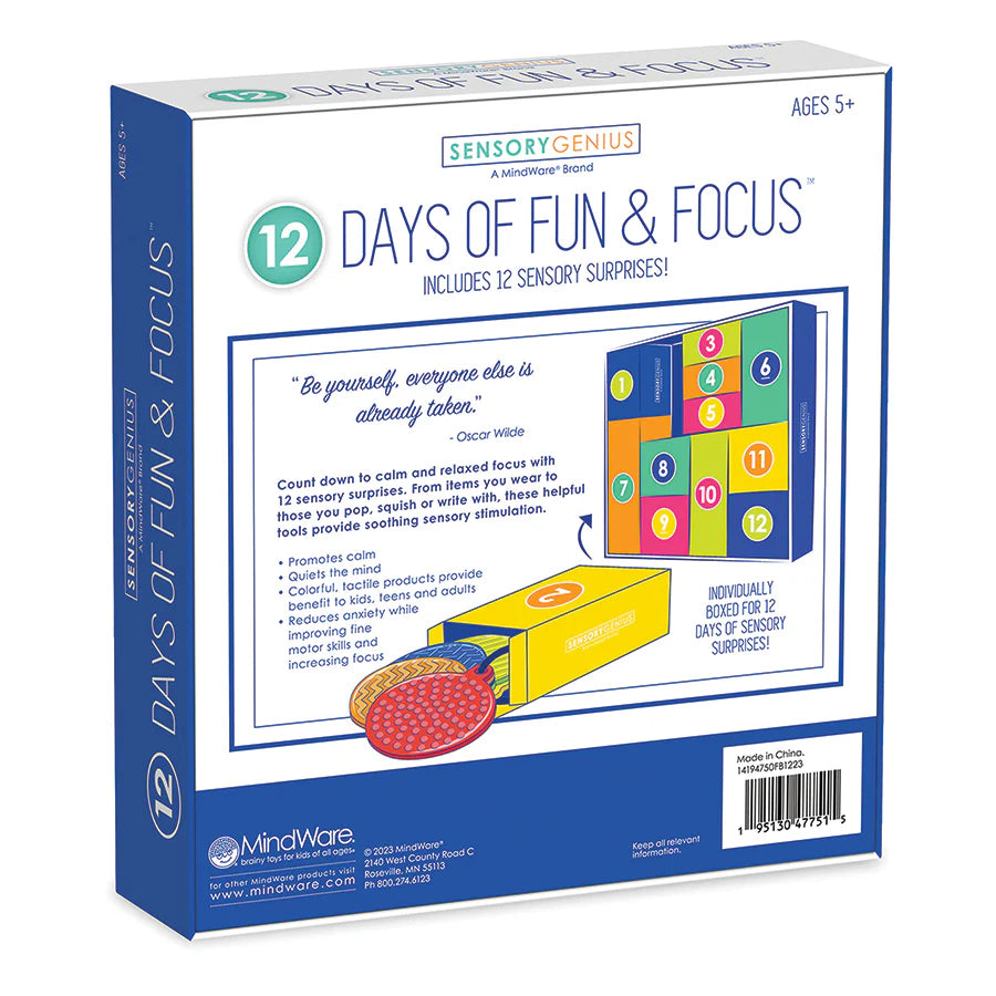 12 Days of Fun & Focus