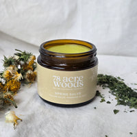 Spring Tallow Salve