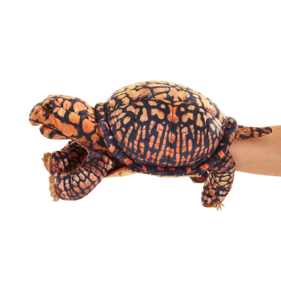 Box Turtle Puppet – The Baby Footprint