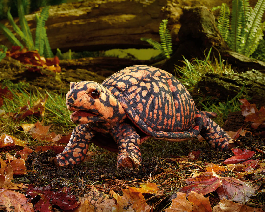 Box Turtle Puppet