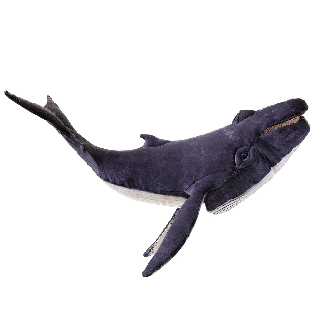 Humpback Whale