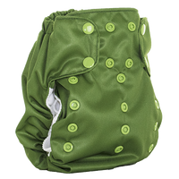 Smart Bottoms 3.1 Organic All In One