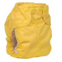 Smart Bottoms Dream Diaper 2.0