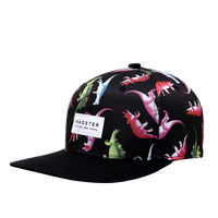 Headster Snapback Hat - YOUTH 56cm Size