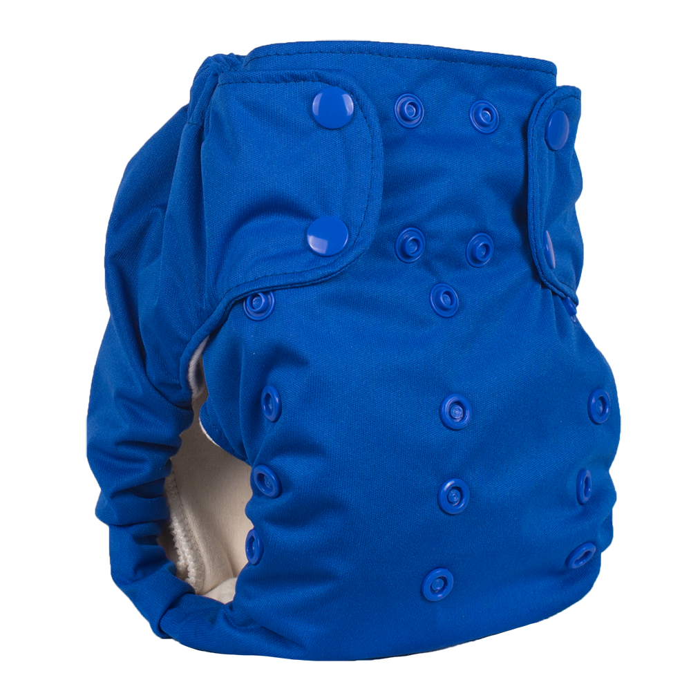 Smart Bottoms Dream Diaper 2.0