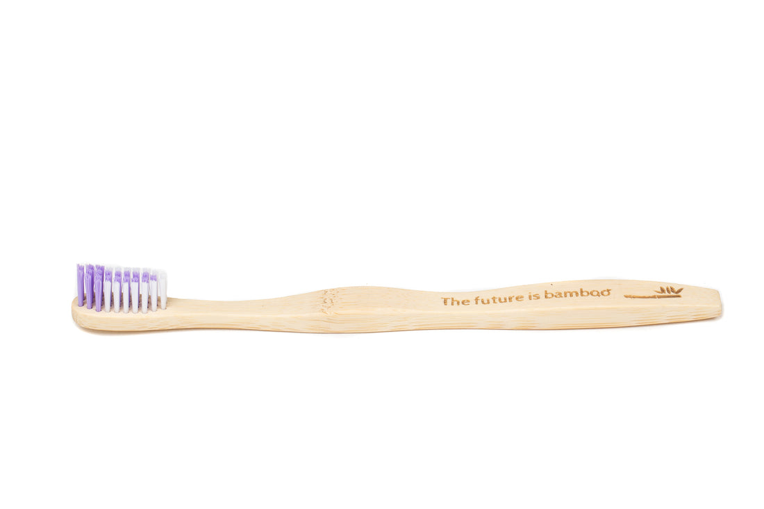 Adult Toothbrush