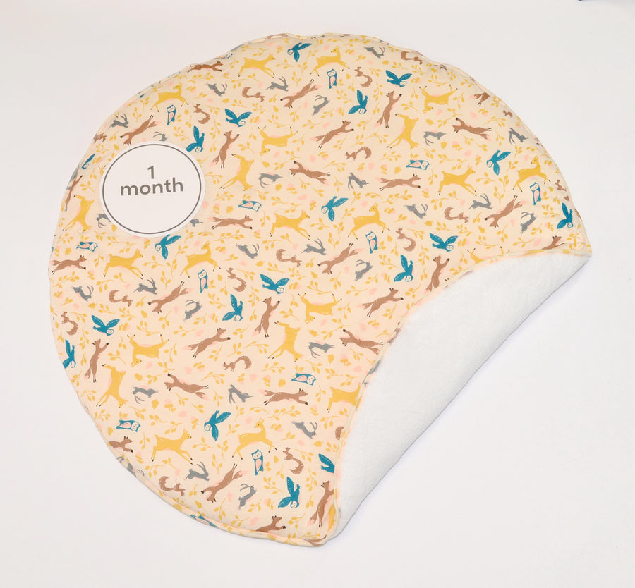 Bamboo Playmat & Monthly Sign Set